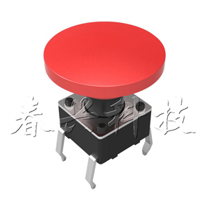A29-φ10  (一套）