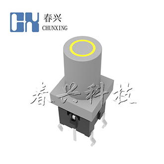 带灯轻触开关