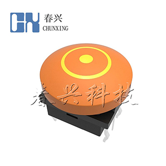 带灯轻触开关