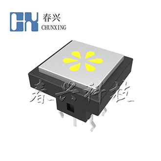 带灯轻触开关